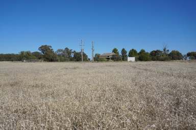 Farm For Sale - NSW - West Wyalong - 2671 - 'Durringle'  (Image 2)