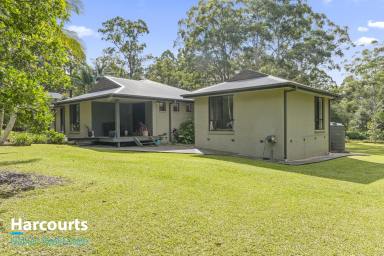 Farm For Sale - NSW - Failford - 2430 - "Exquisite Family Haven"  (Image 2)