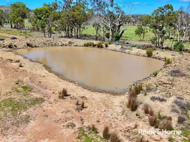 Farm Sold - QLD - Thanes Creek - 4370 - 251 Acre Grazing Lifestyle Block with Great Potential  (Image 2)