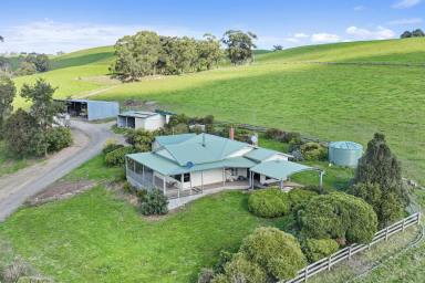 Farm For Sale - VIC - Poowong East - 3988 - PRIME DAIRY & BEEF COUNTRY  (Image 2)