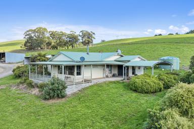 Farm For Sale - VIC - Poowong East - 3988 - PRIME DAIRY & BEEF COUNTRY  (Image 2)