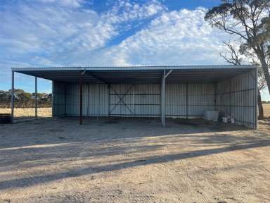 Farm Sold - WA - Ucarty - 6462 - Lifestyle / Hobby farm block $369,000  (Image 2)