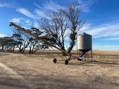 Farm Sold - WA - Ucarty - 6462 - Lifestyle / Hobby farm block $369,000  (Image 2)