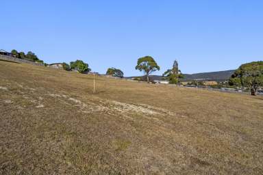 Farm For Sale - TAS - Triabunna - 7190 - Development Potential  (Image 2)