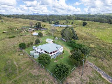Farm For Sale - QLD - Horse Camp - 4671 - "FERRY HILLS" (SAME OWNER FOR 40 YEARS)  (Image 2)