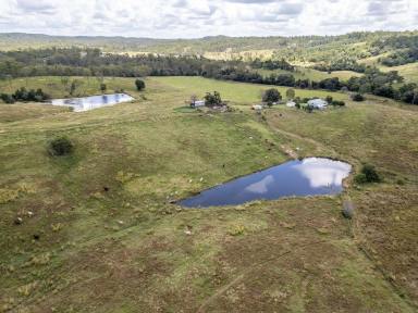 Farm For Sale - QLD - Horse Camp - 4671 - "FERRY HILLS" (SAME OWNER FOR 40 YEARS)  (Image 2)