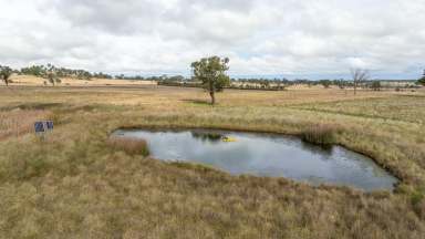 Farm Sold - NSW - Armidale - 2350 - 'Robyn Vale' - A Longstanding History of Grazing Performance  (Image 2)