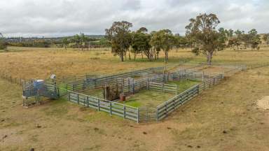 Farm Sold - NSW - Armidale - 2350 - 'Robyn Vale' - A Longstanding History of Grazing Performance  (Image 2)