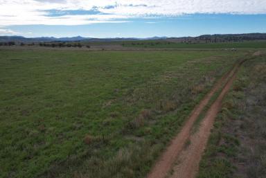 Farm For Sale - NSW - Merriwa - 2329 - Great block with a view!  (Image 2)