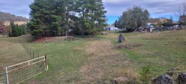 Farm For Sale - NSW - Adelong - 2729 - Land Sale in Adelong  (Image 2)