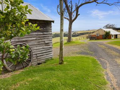 Farm For Sale - VIC - Stony Creek - 3957 - "GRASSY SPUR FARM" - A CHARMING HOMESTEAD ON APPROX 87 ACRES!  (Image 2)