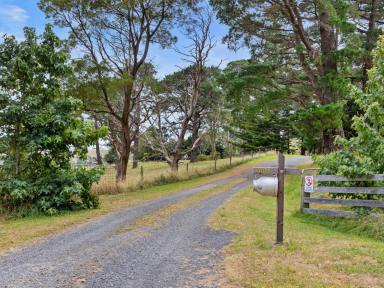 Farm For Sale - VIC - Stony Creek - 3957 - "GRASSY SPUR FARM" - A CHARMING HOMESTEAD ON APPROX 87 ACRES!  (Image 2)