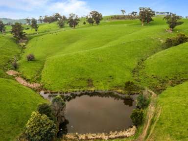 Farm For Sale - VIC - Mirboo - 3871 - TRANQUIL ACRES  (Image 2)