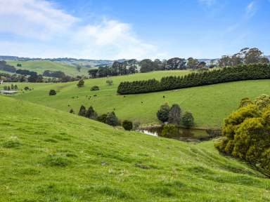 Farm For Sale - VIC - Mirboo - 3871 - TRANQUIL ACRES  (Image 2)