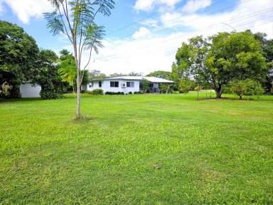 Farm For Sale - QLD - Mareeba - 4880 - GOOD WATER, ANY CROP YOU DESIRE OR SIMPLY LIFESTYLE WITH INCOME!  (Image 2)