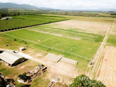 Farm For Sale - QLD - Mareeba - 4880 - GOOD WATER, ANY CROP YOU DESIRE OR SIMPLY LIFESTYLE WITH INCOME!  (Image 2)