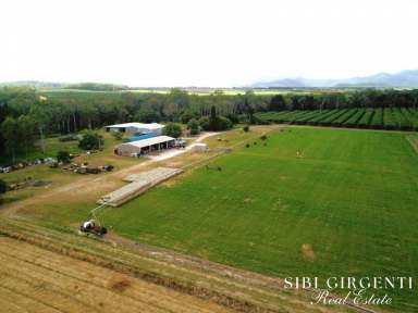 Farm For Sale - QLD - Mareeba - 4880 - GOOD WATER, ANY CROP YOU DESIRE OR SIMPLY LIFESTYLE WITH INCOME!  (Image 2)