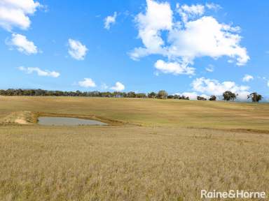 Farm Sold - NSW - O'Connell - 2795 - 100 ACRES OF OPPORTUNITY  (Image 2)