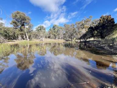 Farm Sold - NSW - Lower Boro - 2580 - 40 Hectares, 3Br Cottage + Ensuite, Double Garage + 5 Bay Workshop, Dual Road Frontage, Dam, 30 Mins From Goulburn.  (Image 2)