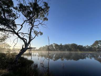 Farm For Sale - NSW - Marulan - 2579 - 210 Acres + Dwelling Entitlement To Build, 2 Huge Lakes, Swim, Fish, Kayak, Graze, Relax & Enjoy, Zoned Ru2, Perfect Location..  (Image 2)