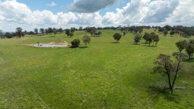 Farm For Sale - NSW - Armidale - 2350 - High Quality Acres Ready for a Home  (Image 2)