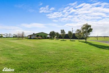 Farm For Sale - VIC - Hunterston - 3971 - SOLITUDE, SERENITY AND SECLUSION - NO NEIGHBORS NEARBY  (Image 2)