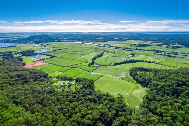 Farm For Sale - NSW - Maclean - 2463 - BEAUTIFUL HOME SET ON A PRODUCTIVE 323ACRE SUGAR CANE FARM!  (Image 2)