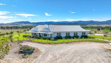 Farm For Sale - NSW - Tamworth - 2340 - Prime lifestyle near Tamworth  (Image 2)