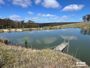 Farm For Sale - VIC - Carrajung Lower - 3844 - AN OASIS OF COLOR  (Image 2)