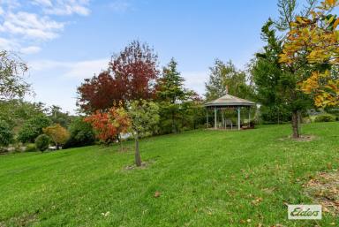 Farm For Sale - VIC - Carrajung Lower - 3844 - AN OASIS OF COLOR  (Image 2)