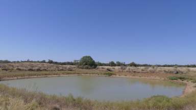 Farm For Sale - NSW - Warren - 2824 - Lower Macquarie Grazing Country  (Image 2)