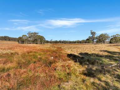 Farm Sold - NSW - Bombala - 2632 - Tucked away from it all  (Image 2)