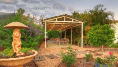 Farm For Sale - QLD - Barcaldine - 4725 - Barcaldine Bliss Caravan Park & Tea Garden + Residence All-in-One!  (Image 2)