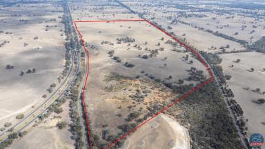 Farm Auction - VIC - Violet Town - 3669 - Thompson's Paddock  (Image 2)