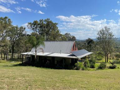 Farm Auction - NSW - Casino - 2470 - 100 ACRES & DWELLING - LOWER DYRAABA  (Image 2)