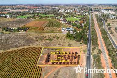 Farm For Sale - VIC - Red Cliffs - 3496 - Major Highway Exposure  (Image 2)