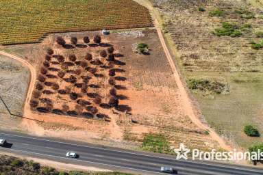 Farm For Sale - VIC - Red Cliffs - 3496 - Major Highway Exposure  (Image 2)