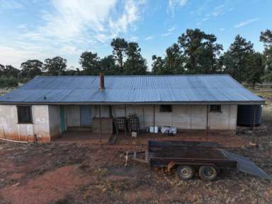 Farm For Sale - NSW - Alleena - 2671 - Your Little Bit Of Bush Paradise  (Image 2)