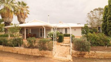 Farm For Sale - WA - Wongan Hills - 6603 - Space, Style and Comfort  (Image 2)