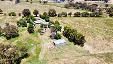 Farm For Sale - NSW - Young - 2594 - "Glenede" Federation Home on 40 Acres  (Image 2)