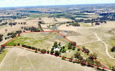 Farm For Sale - NSW - Young - 2594 - "Glenede" Federation Home on 40 Acres  (Image 2)