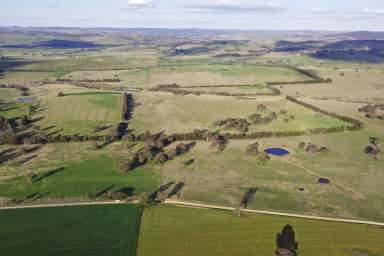 Farm For Sale - NSW - Boorowa - 2586 - High Productive Block  (Image 2)