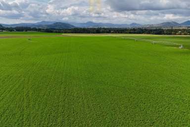 Farm For Sale - NSW - Segenhoe - 2337 - Prime Hunter River Irrigation  (Image 2)