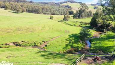 Farm For Sale - VIC - Won Wron - 3971 - PEACEFUL, PRIVATE SETTING WITH A RURAL OUTLOOK  (Image 2)