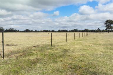 Farm For Sale - VIC - Euroa - 3666 - A "Blank Canvas" Opportunity to Craft Your Dream Lifestyle  (Image 2)