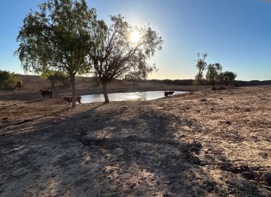 Farm Sold - SA - Motpena - 5730 - Motpena Station  (Image 2)