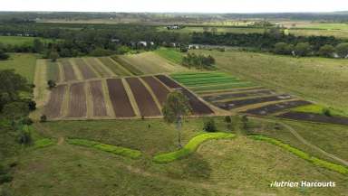 Farm For Sale - QLD - Givelda - 4670 - GREAT LIFESTYLE WITH MULTIPLE REVENUE STREAMS!!  (Image 2)