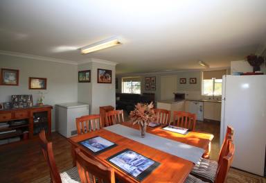 Farm For Sale - NSW - Inverell - 2360 - Equine Enthusiasts, Retiree or Hobby Farm  (Image 2)