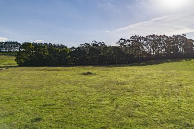 Farm For Sale - VIC - Warragul South - 3821 - APPROX 4.16 ACRES--- APPROVED PLANNING PERMIT--- EDGE OF WARRAGUL TOWNSHIP  (Image 2)