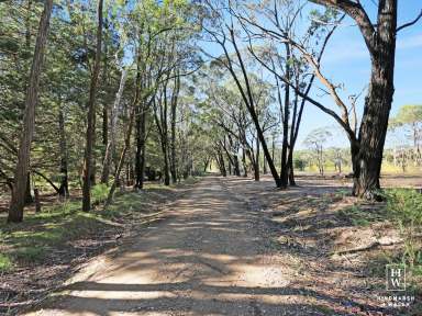 Farm For Sale - NSW - Wingello - 2579 - Investors - Here's your chance!  (Image 2)